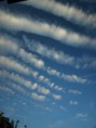 /album/altocumulus/p5247182-jpg/